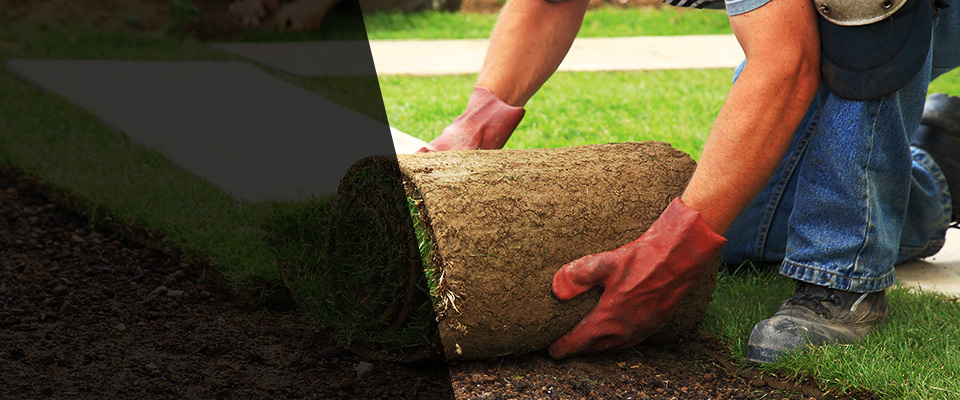 South Park Landscapers